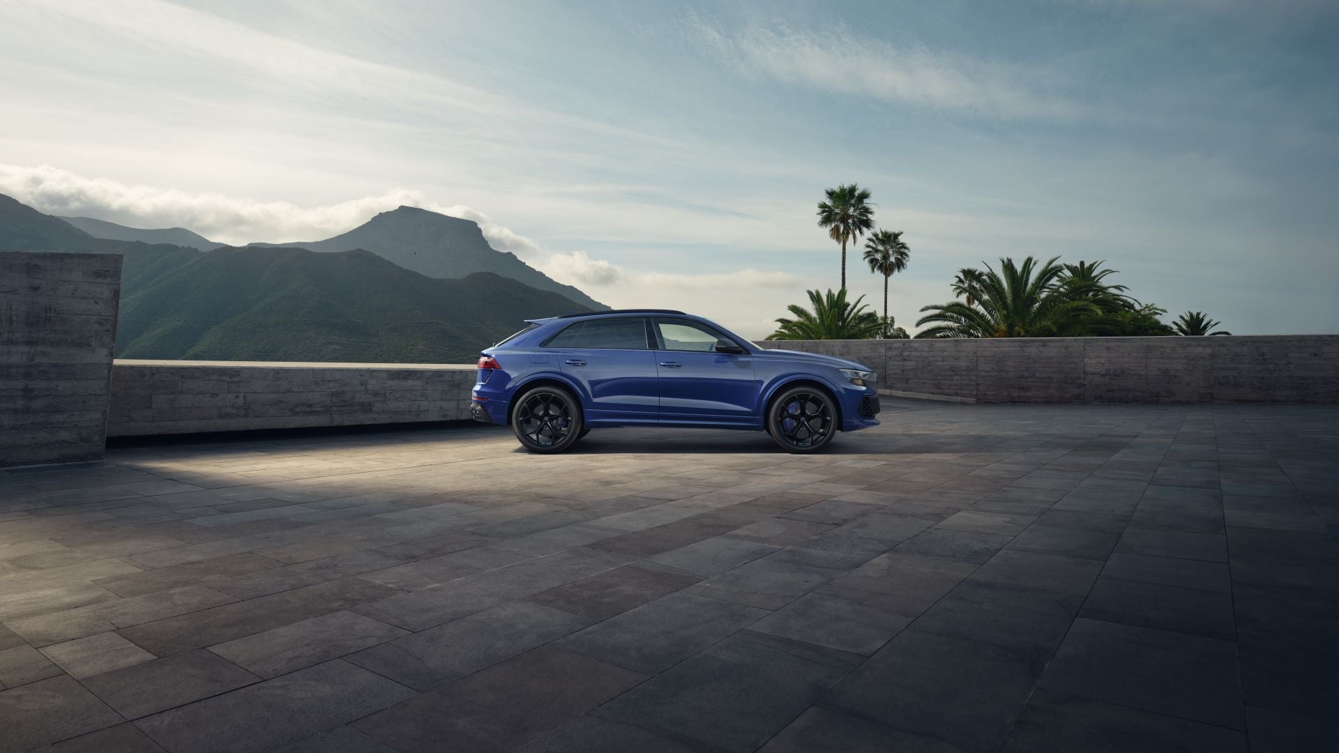 Left profile view of an Audi RS Q8 parked.